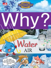 Image of Why? Air