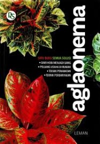 Image of Aglaonema